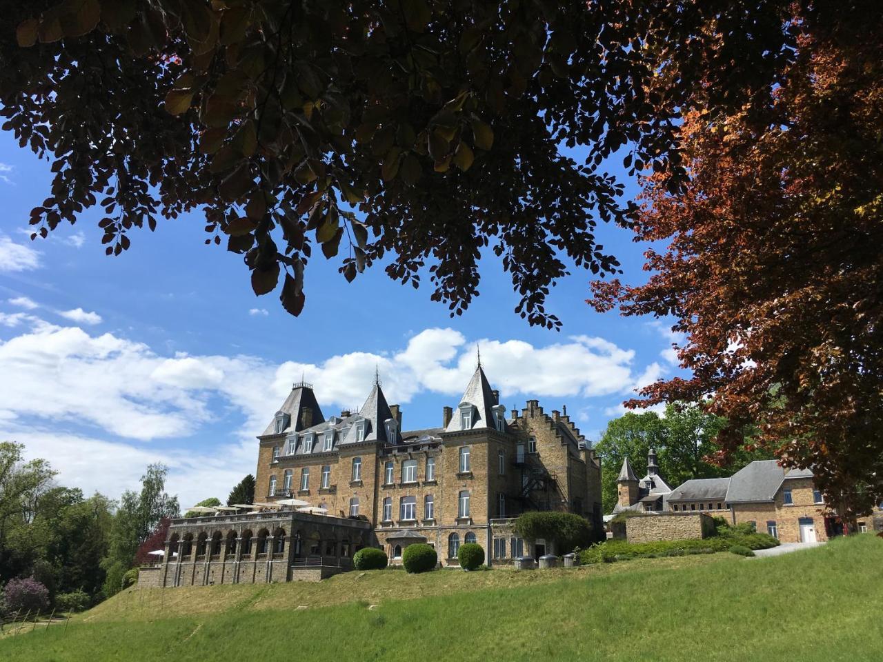 Domaine De Ronchinne - Insolites Maillen Exterior photo